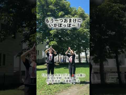 【函館】いか踊りおどってみた🦑｜港まつり｜ハコチャ