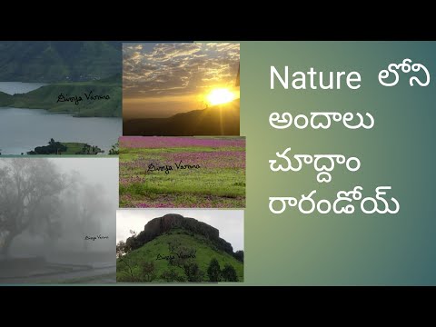 Beautiful nature video by Telugudanam