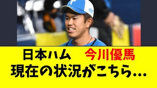 【日ハム】今川優馬の現在の状況がこちら・・・