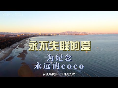 《永不失联的爱》为纪念永远的coco，李玟生前最后一首歌，江哥萨克斯独奏Saxophone Cover