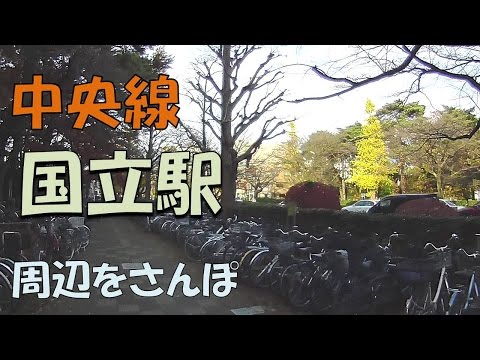 Tokyo Live Walk - Kunitachi