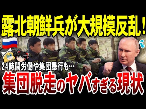 【ゆっくり解説】ロシア&北朝鮮の統制崩壊！集団暴行などのヤバすぎる現状に脱走兵相次ぐ。