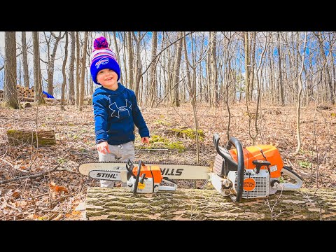 Sawing with dad. Toy Stihl chainsaw for kids and real one