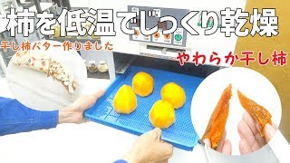 [干し柿の作り方]柿を低温でじっくり乾燥させると（プチミニⅡ）