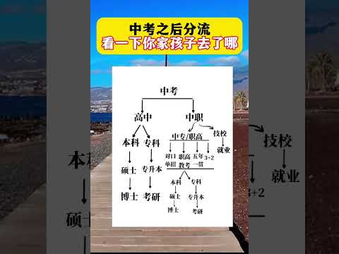 中考之后分流   看一下你家孩子去了哪 ＃家庭教育  孩子教育 中考分流