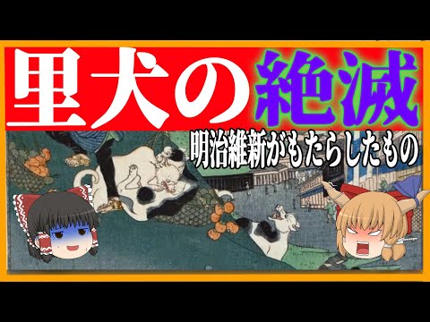 【ゆっくり歴史解説】明治維新がもたらした里犬の絶滅