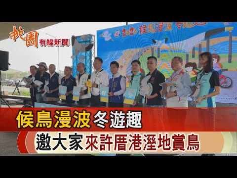 桃園有線新聞20241120-候鳥漫波冬遊趣 邀大家來許厝港溼地賞鳥