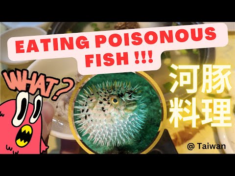 Eating PUFFER FISH like me? Please DON'T!  我们疯了，竟然在台湾吃了有毒的河豚！