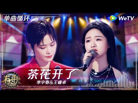 【1小时单曲循环】李宇春&王睿卓《茶花开了》| #有歌2024 EP8 #hitsong2024 | WeTV综艺音乐