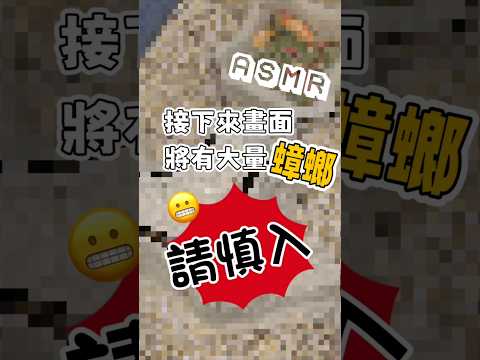 大量蟑螂爬行ASMR🪳🔊聽覺與視覺的饗宴😆😆