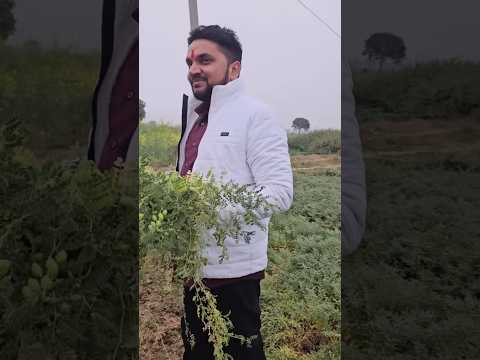 BabaHappyNihurToharMaalBadiDur | Bhojpuri | #Gunjan_Singh #trending #shorts #viralshorts #ytshorts