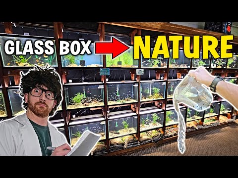 Improve Your Natural Aquariums Curb Appeal! - Easy Blueprints! w/ Aquarium Co-Op