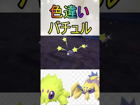 色厳選ほぼ放置色違いバチュル、デンチュラ入手【ポケットモンスターバイオレットスカーレットsv/ゼロの秘宝/碧の仮面/藍の円盤】#shorts #色厳選 #藍の円盤 #色違い #ポケモン