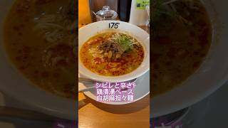 #札幌　#175°DENO #担々麺　#おすすめ　#ラーメン　#ランチ　#北海道　#shorts