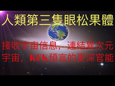 人類第三隻眼：松果體。接收宇宙信息，連結異次元宇宙。也是KFK 2060豆瓣未來人預言的人類更深官能。