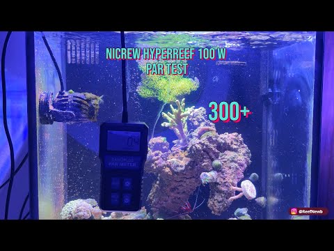 "PAR Rating Test: 100W Nicrew Reef Light on a 15-Gallon Innovative Marine AIO Salt Water Aquarium