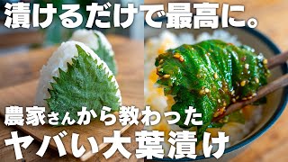 【5分で作れる】これはヤバい。ご飯や野菜が止まらなくなる、大葉の簡単漬け3種