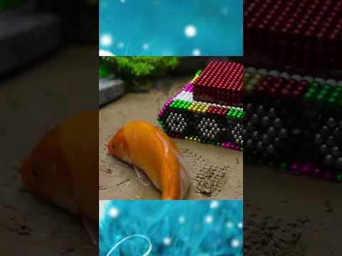 #shorts - Stop motion ASMR FUNNY fish Mukbang Cooking & LEGO Head #pets #funny #cuckoo #animation