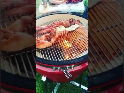 🍗Ceramic BBQ Grill # BBQTools #CeramicPots #kitchenitems #camping #cookware #BBQ