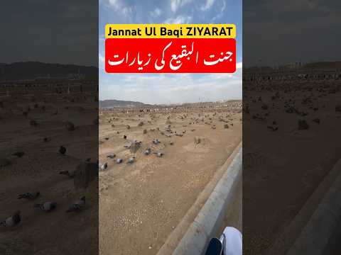 Jannat Ul Baqi #umrah #vlog #islamicpilgrimage #umrahtour #umaisavlogs #religion  #visitmadina