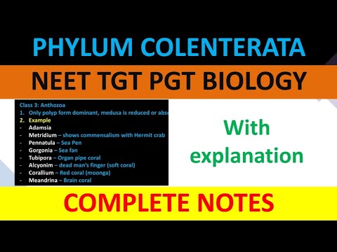 Phylum Coelenterata complete notes for tgt pgt neet biology