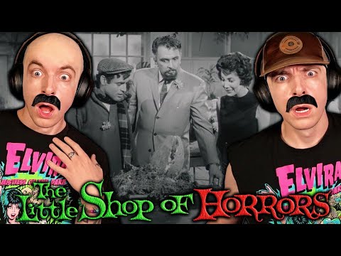 “ZZAVID” WATCHES THE LITTLE SHOP OF HORRORS