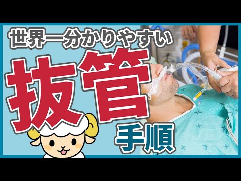 抜管の手順【呼吸器内科医が実演解説】