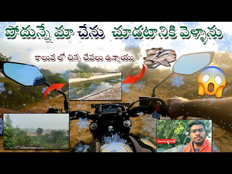 చాలా రోజుల తరువాత మా చేను దగ్గరకు వెళ్ళాను |After many days, I went to our farm.#vloglife #trending