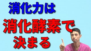 【消化酵素が決め手】食べたものを身体の栄養に変える消化力の重要性！おすすめの消化酵素サプリもご紹介