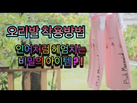 [오키나와 다이빙] 다이빙 장비 설명"오리발 착용법" 핑크머메이드