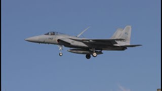 [4K]岐阜基地 JASDF 飛行開発実験団 F-15イーグルがひたすらアプローチしてくる映像 20210106 Gifu ADTW