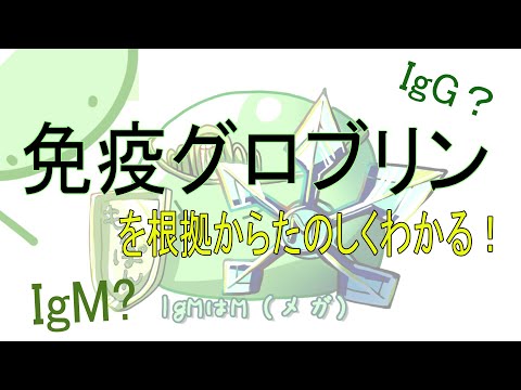 看護学生向け【免疫グロブリン】とは？わかりやすく解説！