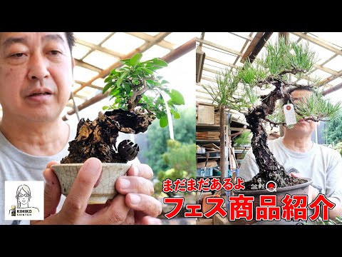 [Fest] Introducing the products of Bonsai class students and Kimiko [Bonsai Q]