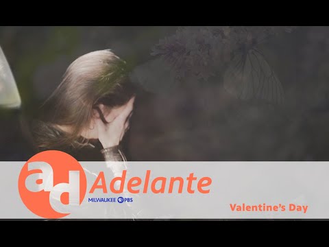 Adelante | Segment | Domestic Violence