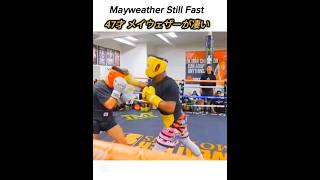 【50-0無敗】47才メイウェザー🇺🇸が凄い Mayweather Still Fast