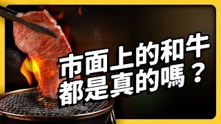 Are You Really Eating Authentic Wagyu Beef? - Uncovering the Truth! | Shasha77