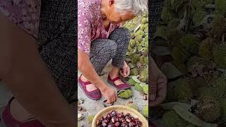 Wild chestnut thorn shell peeling process