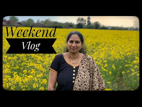 VLOG|Mustard Fields|Chicken Drumsticks|Surekha Telugu Vlogs from London|Telugu Vlogs