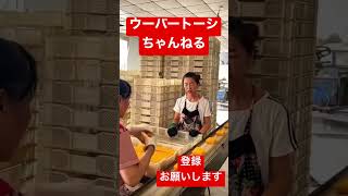 みんな大好き工場見学 神わざのタイミング ノールックが凄い!! #timing #タイミング #awesome