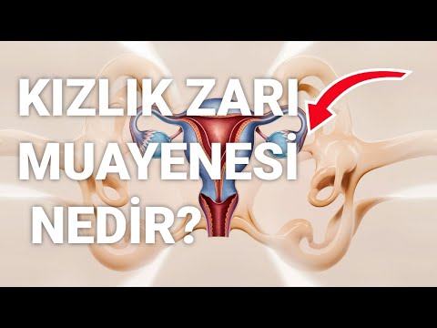 Facts You Don't Know About Hymen