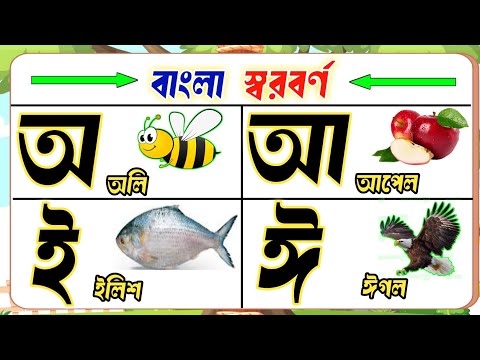 অ আ ই ঈ উ ঊ ঋ এ ঐ ও ঔ উচ্চারণ | অ আ ই ঈ উ ঊ ঋ এ ঐ ও ঔ উচ্চারণ | অ থেকে ঔ পর্যন্ত উচ্চারণ