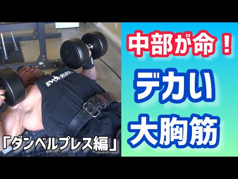 「初心者〜中級者向け」大胸筋中部2種目〜ダンベルプレス編〜 【切り抜き】Hidetada Yamagishi