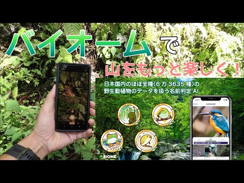 動植物の名前をすっきり判定！バイオームって楽しい！！