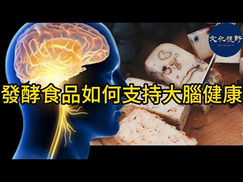 1213日週五【健康】發酵食品如何支持大腦健康 【文化視野】