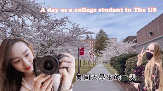 (交換生vlog ep09) 美國大學生的一天/ 學校的櫻花好浪漫 /a day as a college student in the US / exchange student