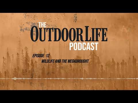 Episode 12 : Wildlife and the Megadrought