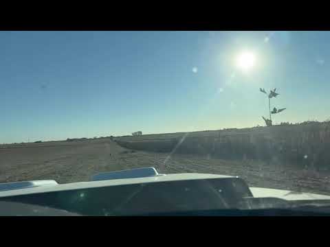 First Coyote Chase Of The Year