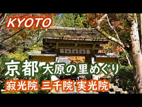 (Japan Travel) Walking through the Ohara in Kyoto and visiting old temples Travel Log 001