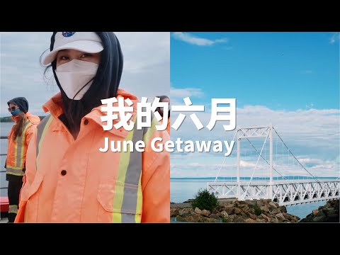 我的六月｜June Getaway｜Charlevoix看鲸鱼/栈桥灯塔/好吃的龙虾卷