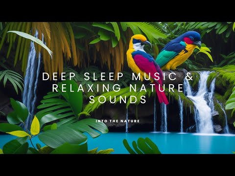 🌿 Tropical Jungle Birds & Water Streams 🦜🌊 | Deep Sleep Music & Relaxing Nature Sounds